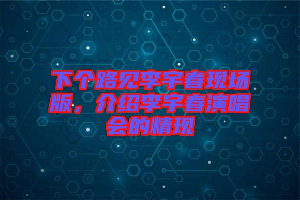 下個路見李宇春現(xiàn)場版，介紹李宇春演唱會的精現(xiàn)