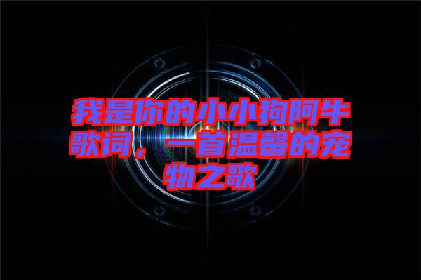我是你的小小狗阿牛歌詞，一首溫馨的寵物之歌