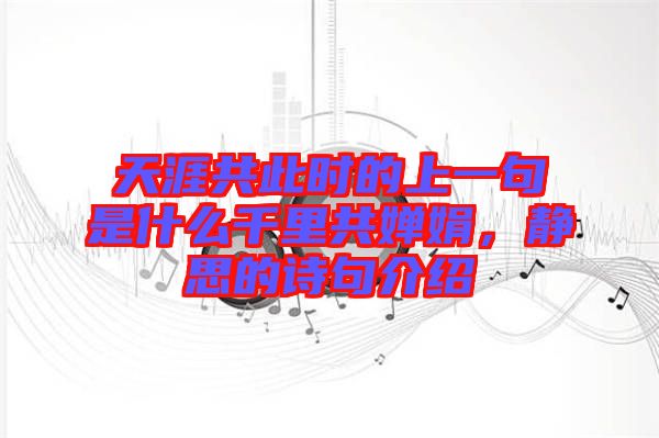 天涯共此時的上一句是什么千里共嬋娟，靜思的詩句介紹