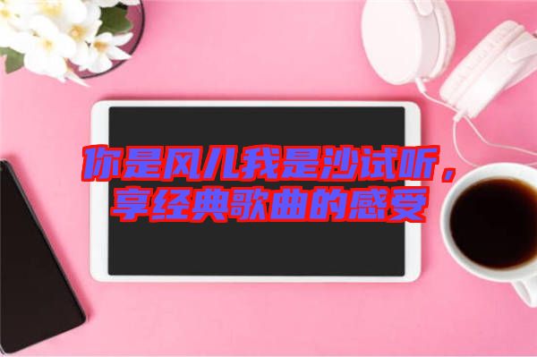 你是風兒我是沙試聽，享經(jīng)典歌曲的感受