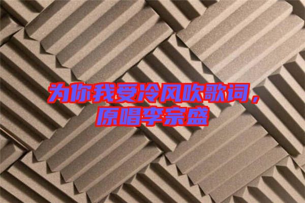 為你我受冷風(fēng)吹歌詞，原唱李宗盛
