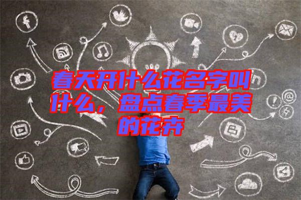 春天開(kāi)什么花名字叫什么，盤(pán)點(diǎn)春季最美的花卉