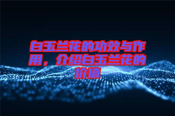 白玉蘭花的功效與作用，介紹白玉蘭花的價值