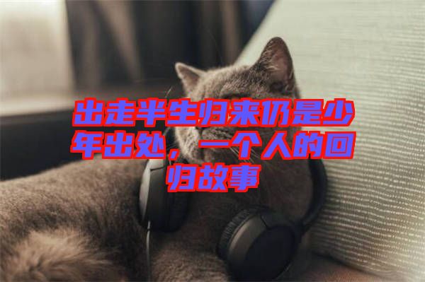 出走半生歸來仍是少年出處，一個人的回歸故事