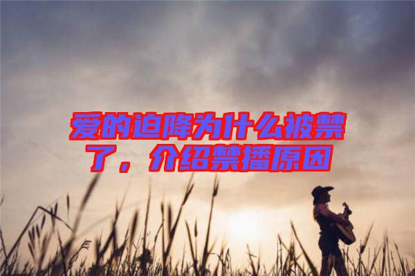 愛的迫降為什么被禁了，介紹禁播原因
