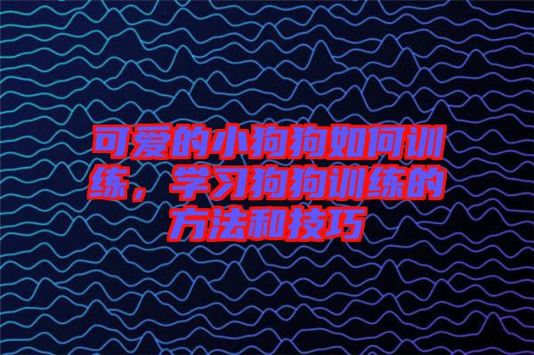 可愛的小狗狗如何訓練，學習狗狗訓練的方法和技巧