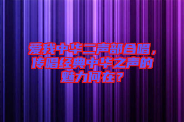 愛我中華二聲部合唱，傳唱經(jīng)典中華之聲的魅力何在？