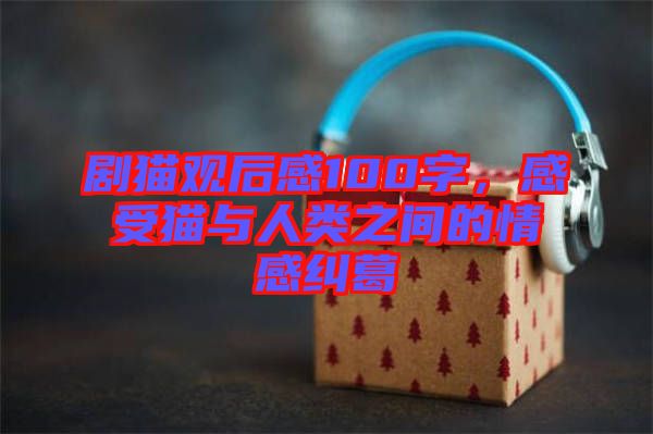 劇貓觀后感100字，感受貓與人類之間的情感糾葛