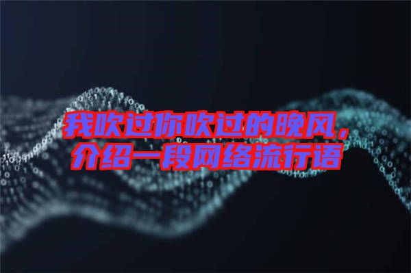 我吹過你吹過的晚風(fēng)，介紹一段網(wǎng)絡(luò)流行語