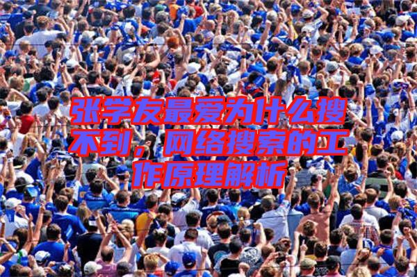 張學(xué)友最愛為什么搜不到，網(wǎng)絡(luò)搜索的工作原理解析