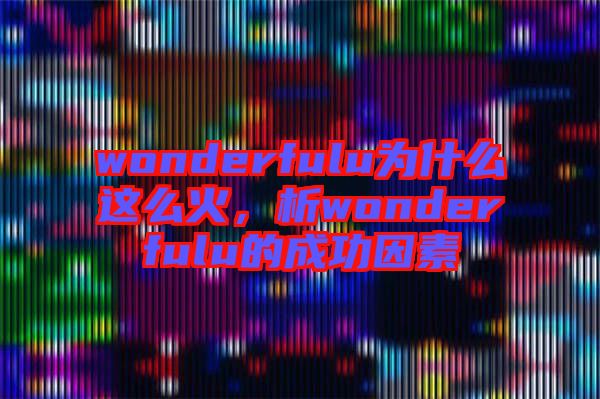 wonderfulu為什么這么火，析wonderfulu的成功因素