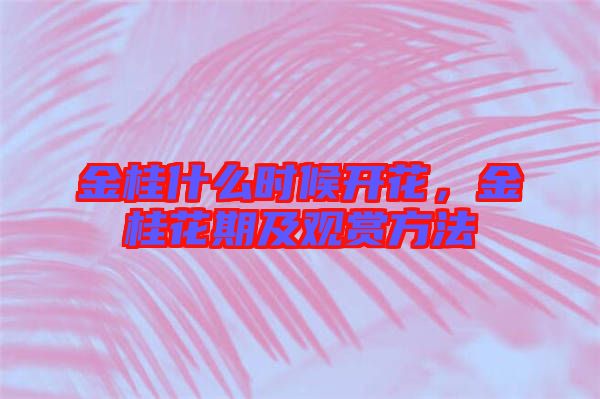 金桂什么時(shí)候開花，金桂花期及觀賞方法