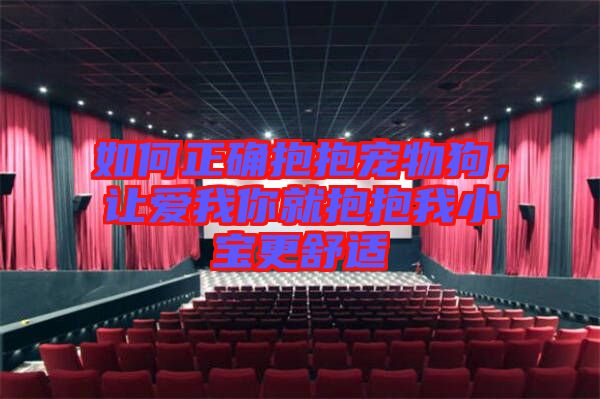 如何正確抱抱寵物狗，讓愛(ài)我你就抱抱我小寶更舒適