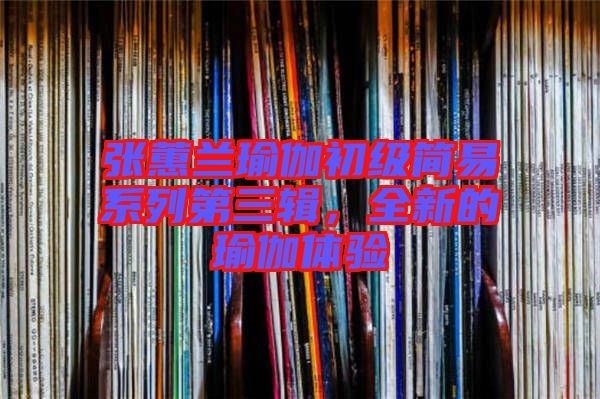 張蕙蘭瑜伽初級(jí)簡(jiǎn)易系列第三輯，全新的瑜伽體驗(yàn)