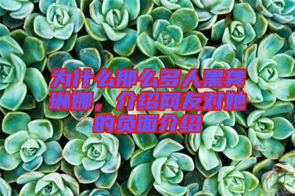 為什么那么多人黑龔琳娜，介紹網(wǎng)友對(duì)她的負(fù)面介紹