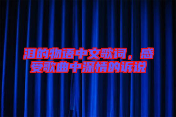 淚的物語(yǔ)中文歌詞，感受歌曲中深情的訴說(shuō)
