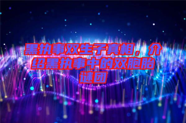黑執(zhí)事雙生子真相，介紹黑執(zhí)事中的雙胞胎謎團