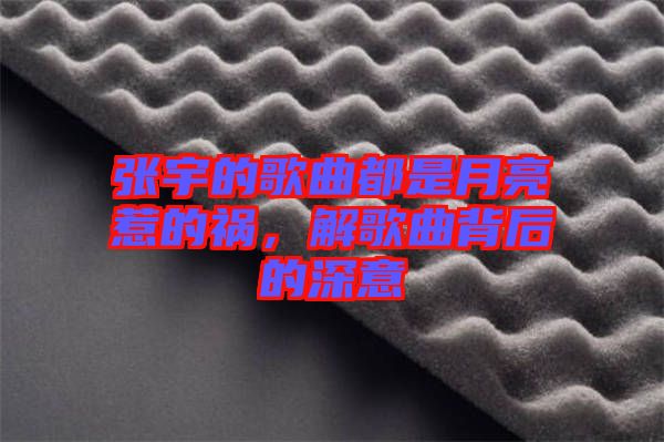 張宇的歌曲都是月亮惹的禍，解歌曲背后的深意