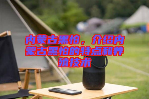 內(nèi)蒙古黑怕，介紹內(nèi)蒙古黑怕的特點(diǎn)和養(yǎng)殖技術(shù)