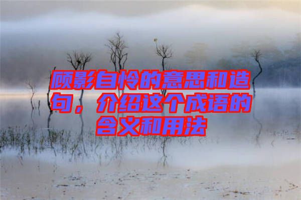 顧影自憐的意思和造句，介紹這個(gè)成語(yǔ)的含義和用法