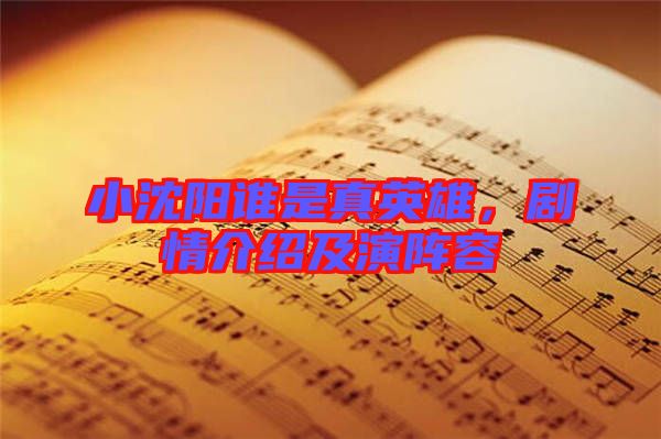 小沈陽(yáng)誰是真英雄，劇情介紹及演陣容