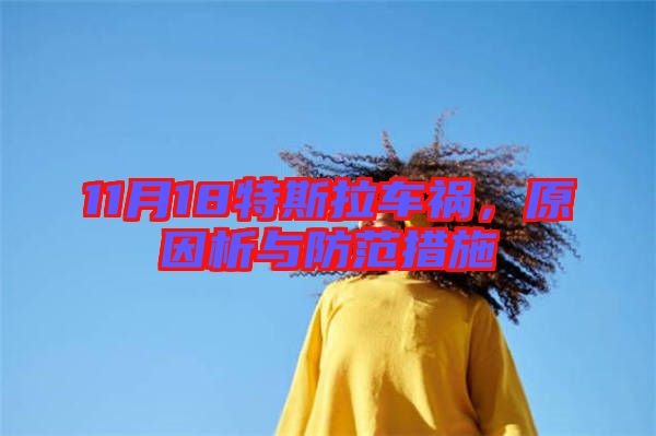 11月18特斯拉車禍，原因析與防范措施