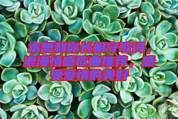 本想和你長相守歌詞，浪漫情感歌曲推薦，感受愛情的美好