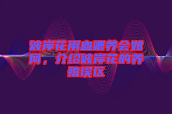彼岸花用血喂養(yǎng)會如何，介紹彼岸花的養(yǎng)殖誤區(qū)