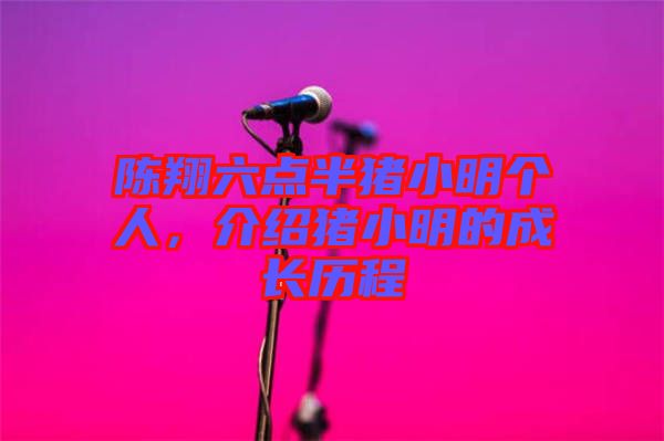 陳翔六點半豬小明個人，介紹豬小明的成長歷程