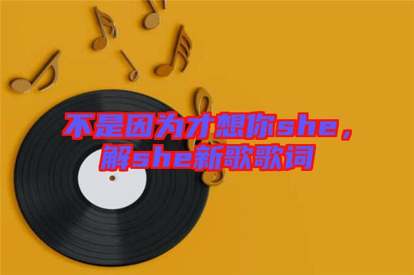 不是因為才想你she，解she新歌歌詞
