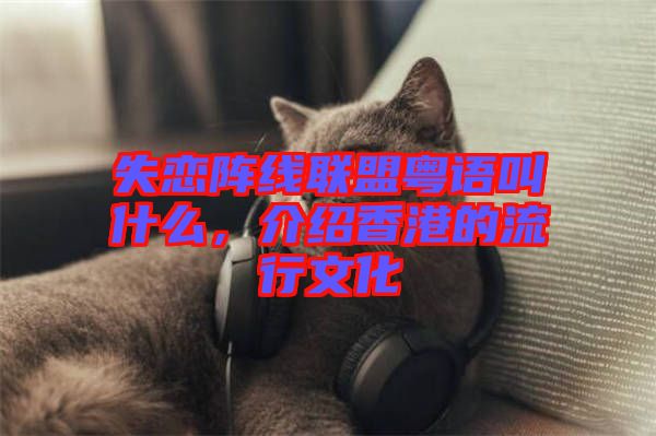失戀陣線聯(lián)盟粵語叫什么，介紹香港的流行文化