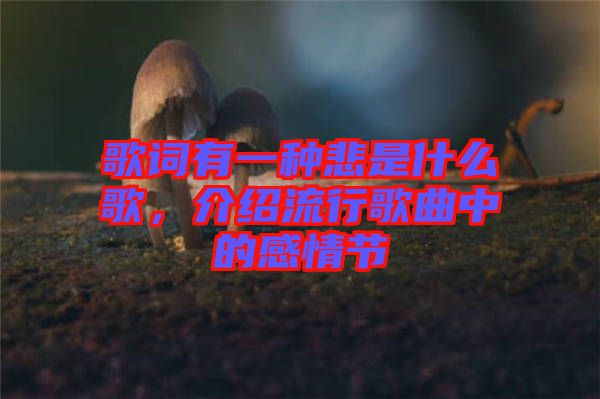 歌詞有一種悲是什么歌，介紹流行歌曲中的感情節(jié)