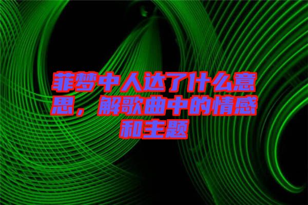菲夢(mèng)中人達(dá)了什么意思，解歌曲中的情感和主題