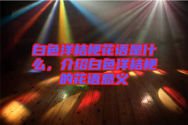 白色洋桔?；ㄕZ是什么，介紹白色洋桔梗的花語意義