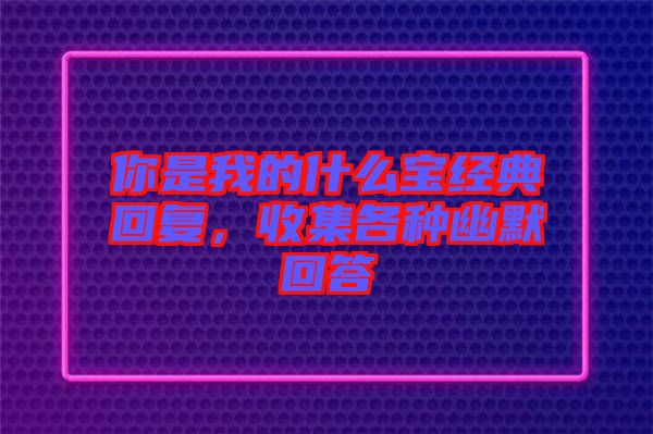 你是我的什么寶經(jīng)典回復，收集各種幽默回答
