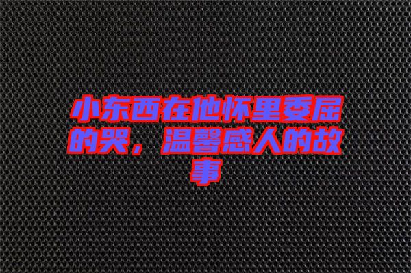 小東西在他懷里委屈的哭，溫馨感人的故事