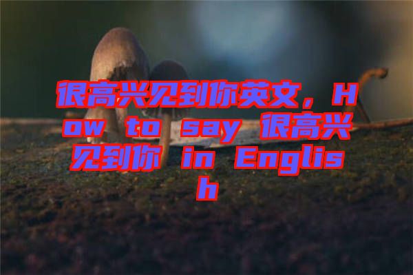 很高興見到你英文，How to say 很高興見到你 in English