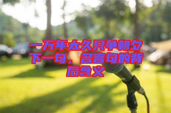 一萬(wàn)年太久只爭(zhēng)朝夕下一句，名言句的背后含義