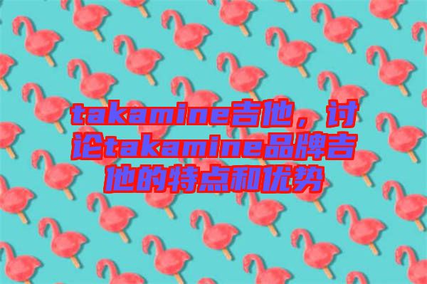 takamine吉他，討論takamine品牌吉他的特點和優(yōu)勢