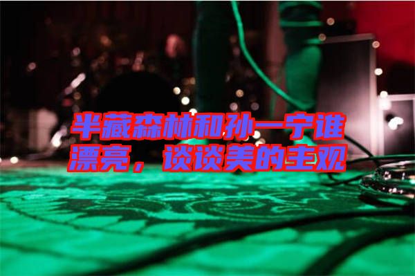 半藏森林和孫一寧誰(shuí)漂亮，談?wù)劽赖闹饔^