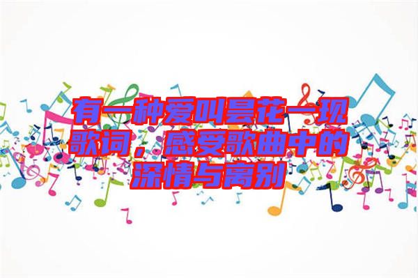 有一種愛叫曇花一現(xiàn)歌詞，感受歌曲中的深情與離別