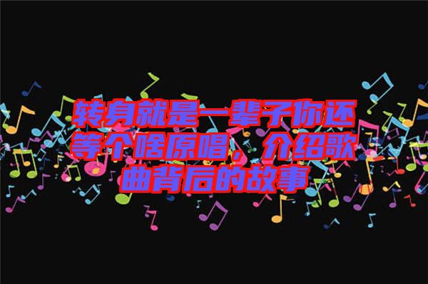轉(zhuǎn)身就是一輩子你還等個啥原唱，介紹歌曲背后的故事