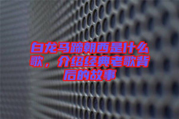 白龍馬蹄朝西是什么歌，介紹經(jīng)典老歌背后的故事