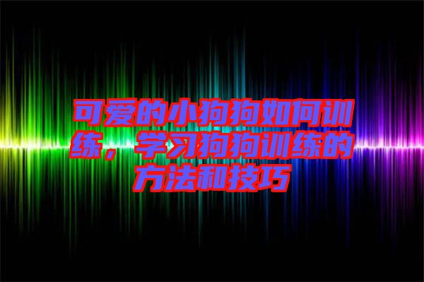 可愛(ài)的小狗狗如何訓(xùn)練，學(xué)習(xí)狗狗訓(xùn)練的方法和技巧