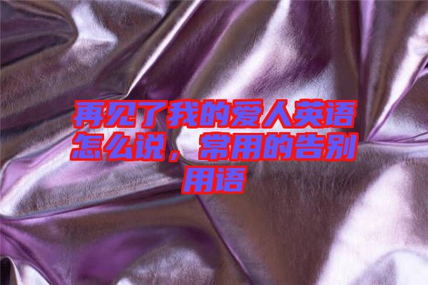 再見了我的愛人英語怎么說，常用的告別用語