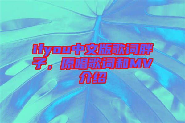 ifyou中文版歌詞胖子，原唱歌詞和MV介紹