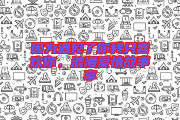 因為遇見了你我只喜歡你，浪漫愛情故事享