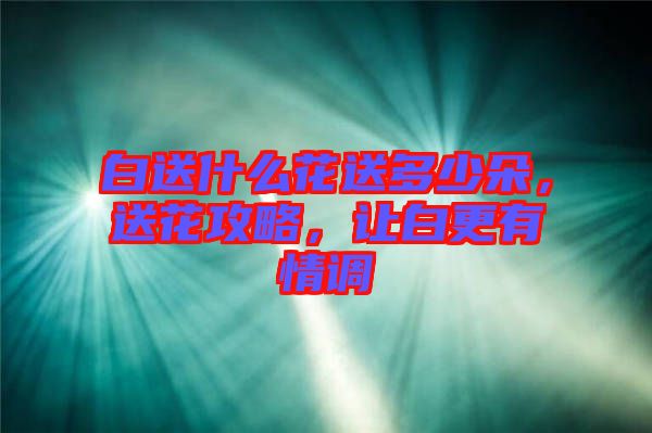 白送什么花送多少朵，送花攻略，讓白更有情調(diào)