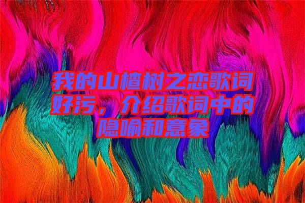 我的山楂樹(shù)之戀歌詞好污，介紹歌詞中的隱喻和意象