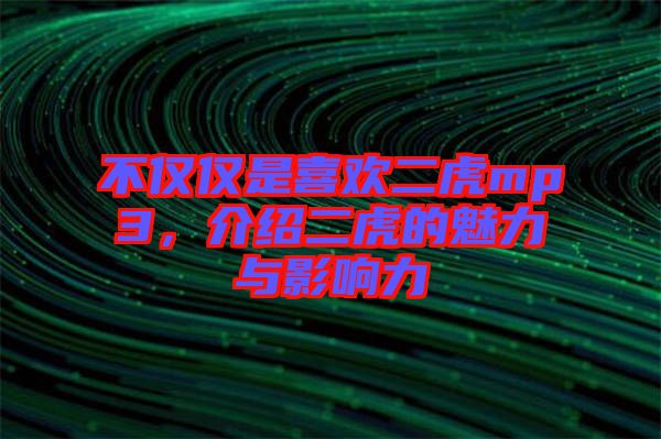 不僅僅是喜歡二虎mp3，介紹二虎的魅力與影響力